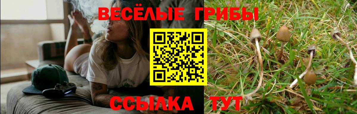 Галлюциногенные грибы Cubensis Кубинка